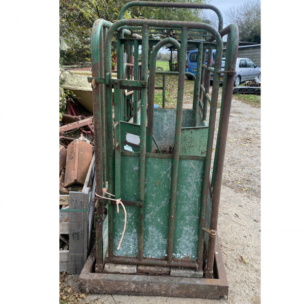 Click to see larger image.