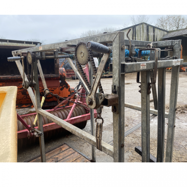 Click to see larger image.