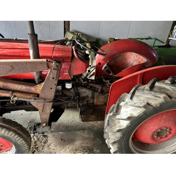 Click to see larger image.