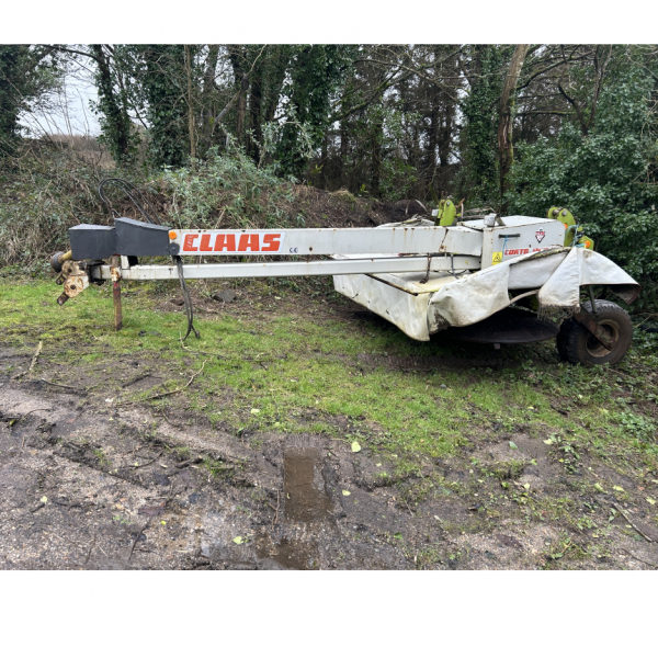 Click to see larger image.