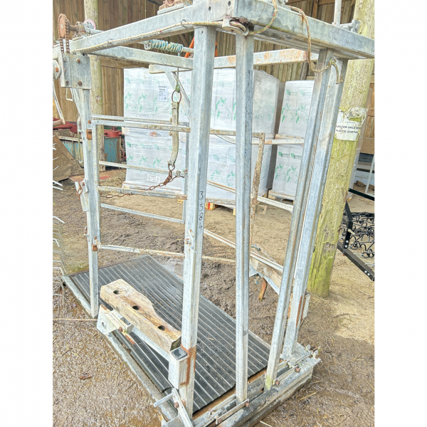 Click to see larger image.